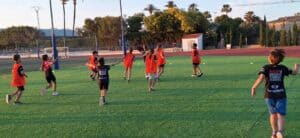 valores de rugby